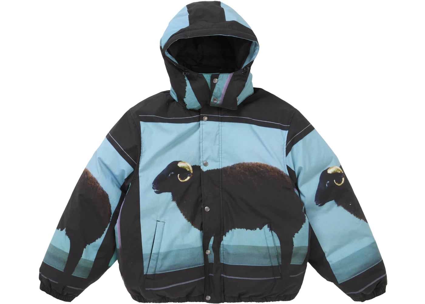 Supreme Damien Hirst Down Puffer Jacket Black