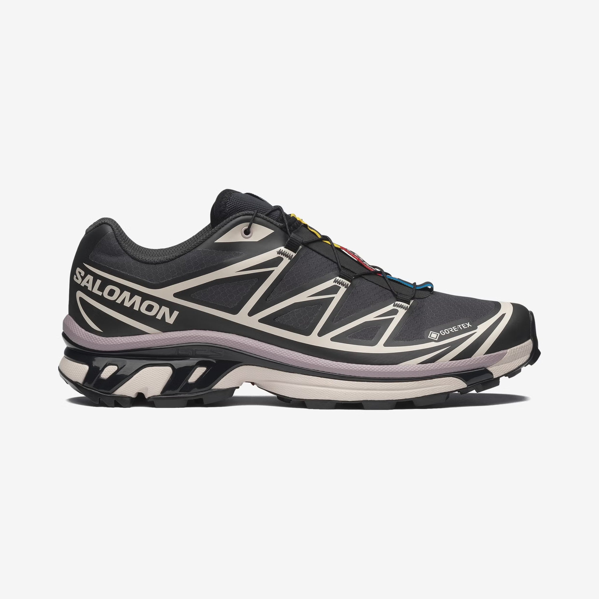 Salomon XT6 GORTEX