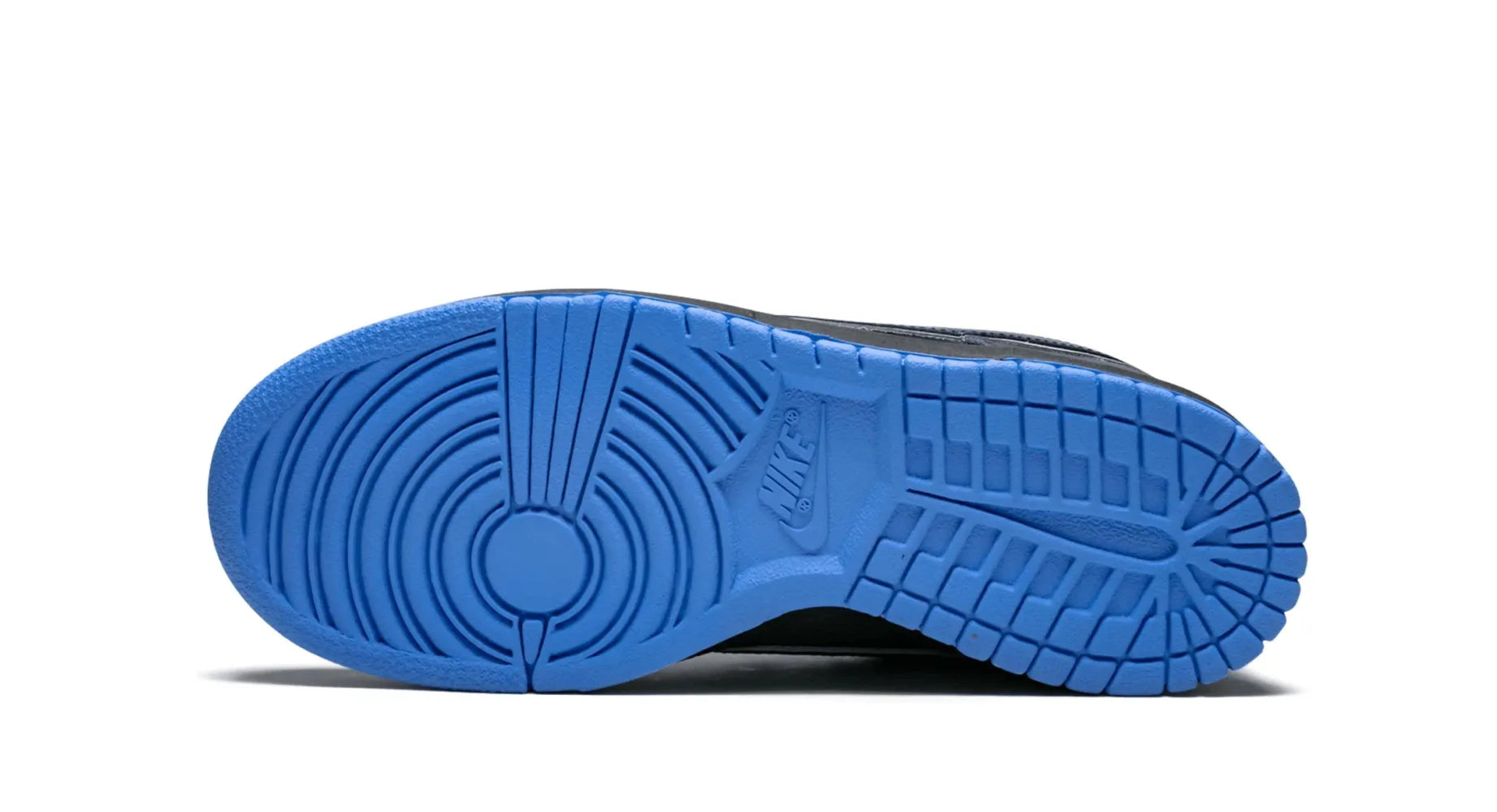 Nike SB Dunk Low Concepts Blue Lobster